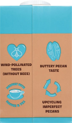 This Pkn Creamer Pecan Milk Lactose And Dairy Free - 16 FZ - Image 5