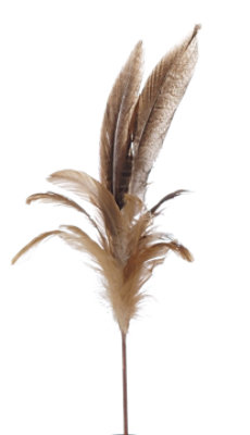 Overjoyed Boutique Feather Pick  Large - EA - Image 1
