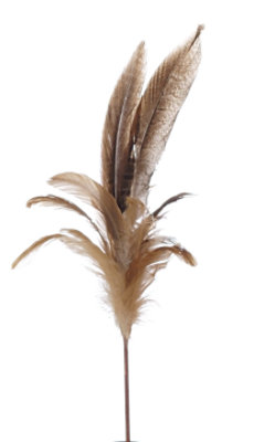 Debi Lilly Feather Pick  Large - EA - Image 1