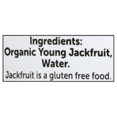 Native Forest Young Jackfruit Sodium Free - 14 OZ - Image 5
