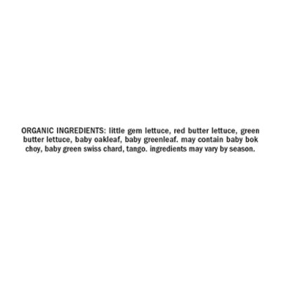 Org Girl Baby Greens Crunch - 4 OZ - Image 4
