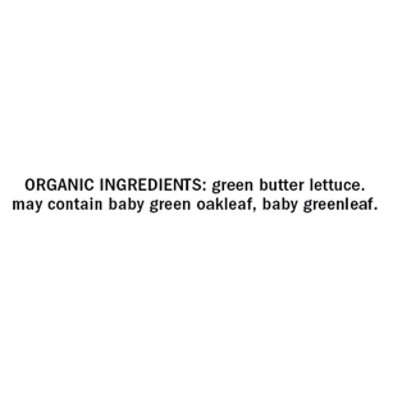 Org Girl Butter Baby - 4 OZ - Image 4