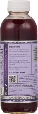 Gts Synergy Organic Elderberry Juniper Kombucha - 16 FZ - Image 6