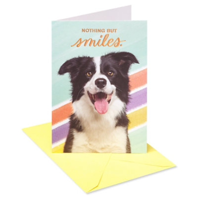 American Greetings Dog and Smiles Birthday Card - Each - Image 1