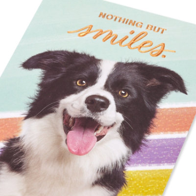 American Greetings Dog and Smiles Birthday Card - Each - Image 4