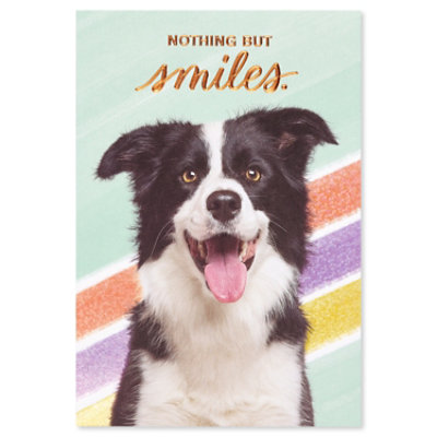 American Greetings Dog and Smiles Birthday Card - Each - Image 5