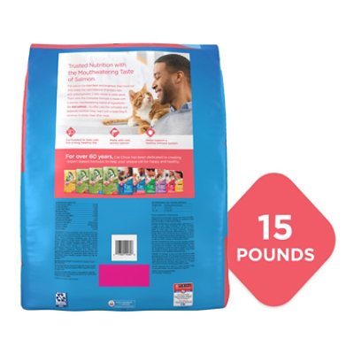 Purina Cat Chow Complete with Real Salmon Dry Cat Food - 15 Lb. - Image 2