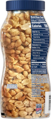 Planters Bold & Savory Dry Roasted Peanuts 16oz - 16 OZ - Image 6