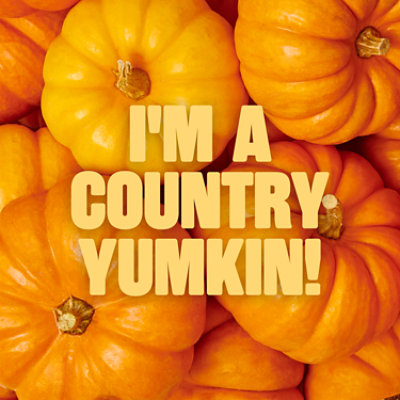 Noosa Pumpkin Yoghurt - 4-4 OZ - Image 4