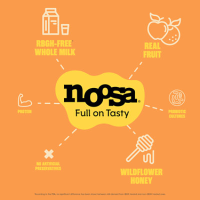 Noosa Pumpkin Yoghurt - 4-4 OZ - Image 6