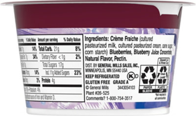 Haagen-Dazs Blueberries And Cream Cultured Creme - 4 Oz - Image 6