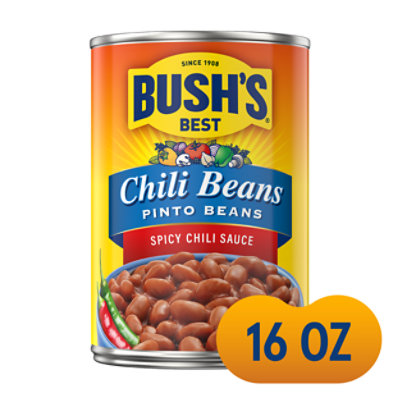 Bushs Pinto Beans In A Hot Chili Sauce 16Oz - 16 Oz - Image 1
