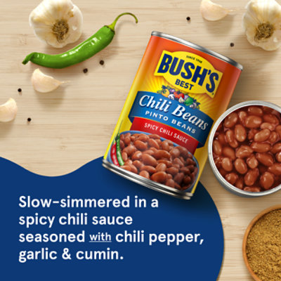 Bushs Pinto Beans In A Hot Chili Sauce 16Oz - 16 Oz - Image 2