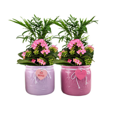 Dl Large Valentines Heart Mason Jar Each JewelOsco