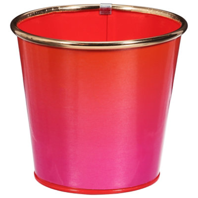 Dl Small Ombre Planter - Each - Image 3