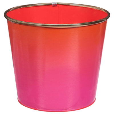 Dl Large Ombre Planter - Each - Image 3