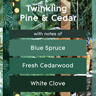 Glade Piso Twinkling Pine & Cedar Refill 2-.67 Fl. Oz. - Image 4