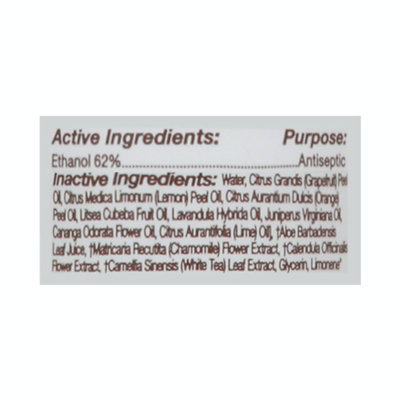 Everyone - Hand Santzr Ruby Grpfruit -2 fz (Pack of 6) - Image 2