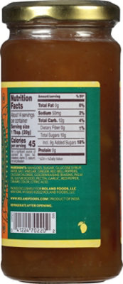 Roland Major Grey's Mango Chutney - 10 Oz - Image 6