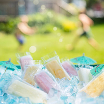 Helados Mexico Mini Cream Paletas Variety Pack - 24 -1.5 Fl. Oz. - Image 2