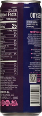 Odyssey Blackberry Lemon Sparkling Energy Elixir - 12 Fl. Oz. - Image 5