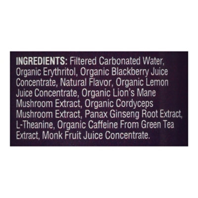 Odyssey Blackberry Lemon Sparkling Energy Elixir - 12 Fl. Oz. - Image 4