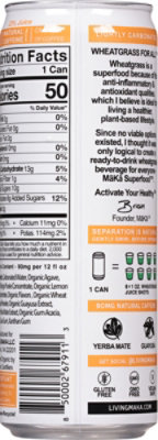 Maka Mango Energized Ready To Drink Tea - 12 Fl. Oz. - Image 6