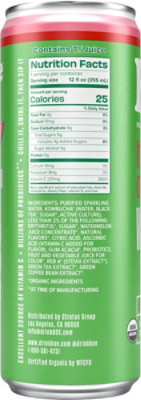 Koe Watermelon Kombucha - 12 Fl. Oz. - Image 6