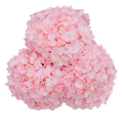 Pink Hydrangea 3 Stem - Each - Image 1