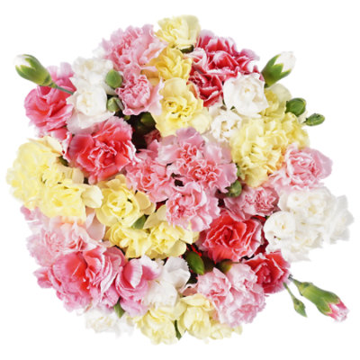 Signature SELECT Rainbow Mini Carnations 9 Stem - Each - Image 1