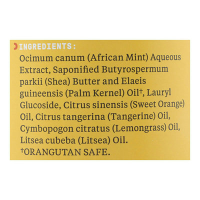 Alaffia - African Black Soap - Tangerine Citrus - 32 fl oz. - Image 2
