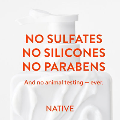 Native Citrus & Herbal Musk Conditioner - 16.5 Fl. Oz. - Image 7