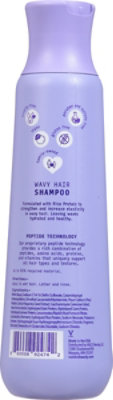 V&co Wavy Hair Shampoo With Peptide Technology 12 Fz - 12 FZ - Image 5