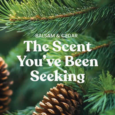 Yankee Candle Balsam And Cedar - Each - Image 3