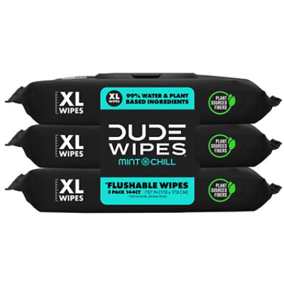 Dude Wipes Dispenser Pack Mint Chill 3 Pack - 144 Count - Image 1