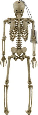 Fun World Posable Skeleton 12 piece – Each - Image 3