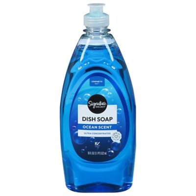 Signature SELECT Dish Soap Liquid Ocean - 18 Fl. Oz.