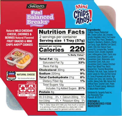 Sargento Fun Balanced Breaks Mild Cheddar Cheese Fruit Snacks & Mini Chips Ahoy - 2 Count - Image 6