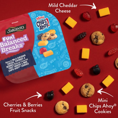 Sargento Fun Balanced Breaks Mild Cheddar Cheese Fruit Snacks & Mini Chips Ahoy - 2 Count - Image 3