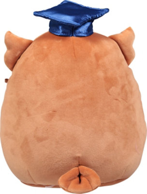 Squishmallow 8 Inch Brown Owl Graduation - Each - Image 4