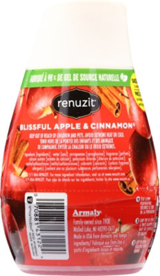 Renuzit Apple Cinnamon Adjustable Gel Air Freshener - 7 Oz - Image 5