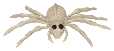 Sea Spider Skeleton - Each - Image 1