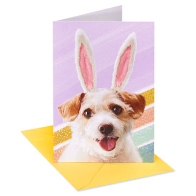 American Greetings Pup with Bunny Ears Easter Card - Each - Image 1