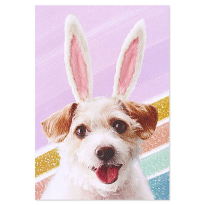 American Greetings Pup with Bunny Ears Easter Card - Each - Image 5