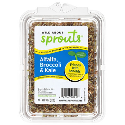 Wild About Sprouts Alfalfa Broccoli Kale - 3 Oz. - Image 2