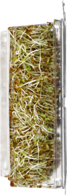 Wild About Sprouts Alfalfa Broccoli Kale - 3 Oz. - Image 2