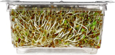 Wild About Sprouts Alfalfa Broccoli Kale - 3 Oz. - Image 5
