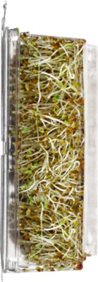 Wild About Sprouts Alfalfa Broccoli Kale - 3 Oz. - Image 3