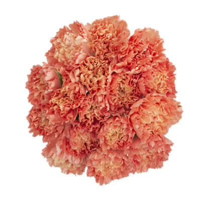 Orange Carnations 12 Stem - Each - Image 1