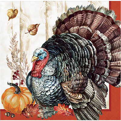 Signature Select Timeless Turkey Beverage Napkins - 16 Count - Image 1